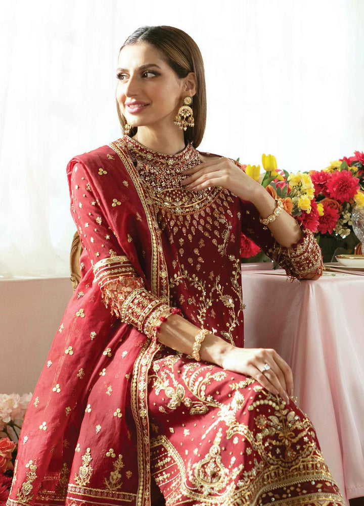 Dilnaaz By Qalamkar Embroidered Raw Silk Suits Unstitched 3 Piece QLM23DZ DN-3 Zaina - Wedding Collection