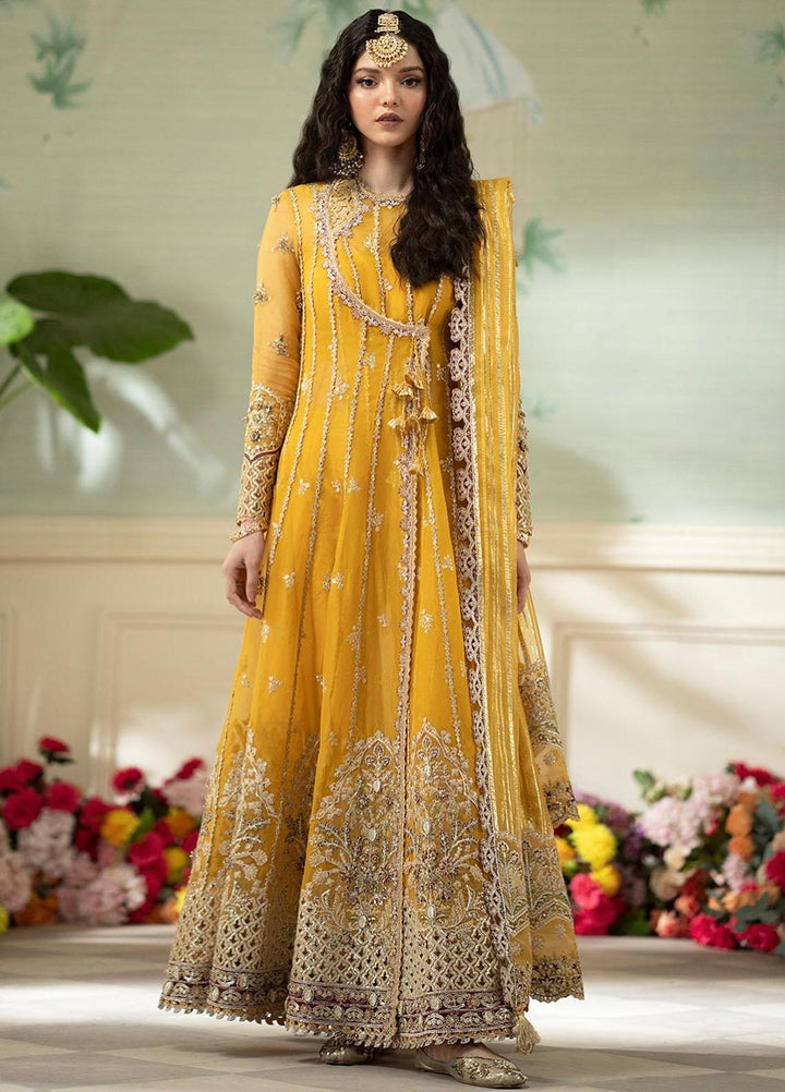 Dilnaaz By Qalamkar Embroidered Organza Suits Unstitched 4 Piece QLM23DZ DN-4 Kanza - Wedding Collection