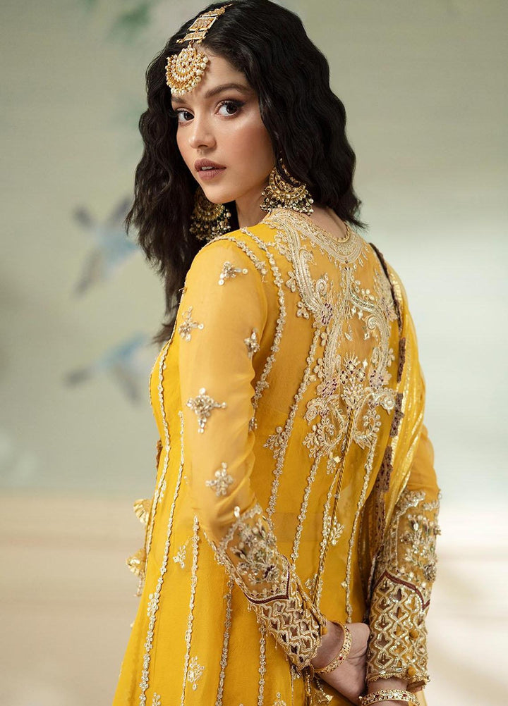 Dilnaaz By Qalamkar Embroidered Organza Suits Unstitched 4 Piece QLM23DZ DN-4 Kanza - Wedding Collection