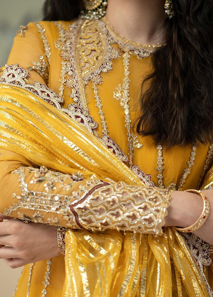 Dilnaaz By Qalamkar Embroidered Organza Suits Unstitched 4 Piece QLM23DZ DN-4 Kanza - Wedding Collection