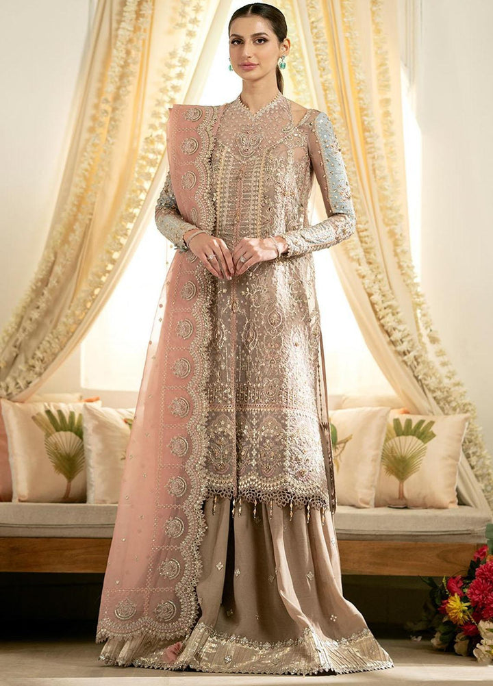 Dilnaaz By Qalamkar Embroidered Organza Suits Unstitched 3 Piece QLM23DZ DN-8 Inaya - Wedding Collection