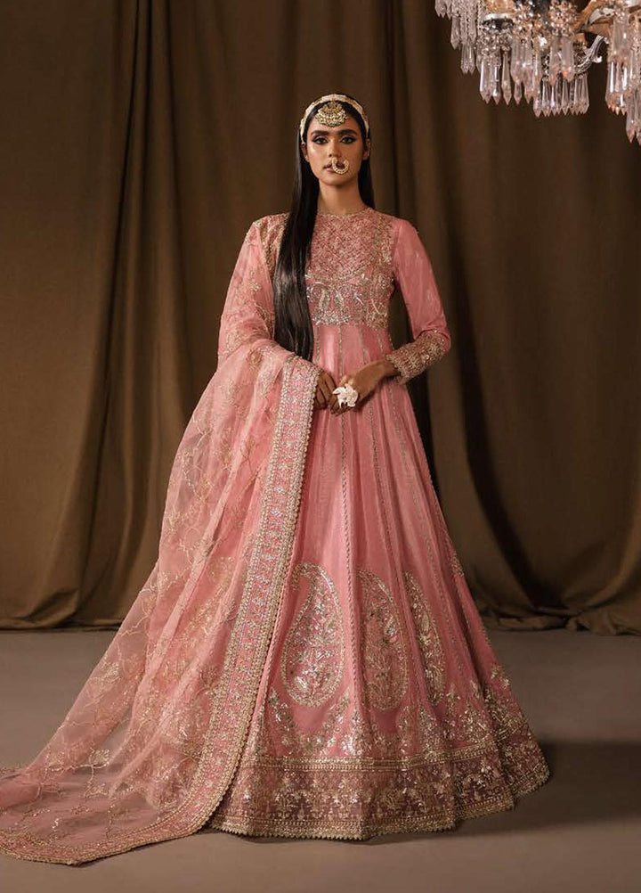 Divani By Afrozeh Embroidered Raw Silk Suits Unstitched 2 Piece AF22D 008 Nayab - Luxury Collection