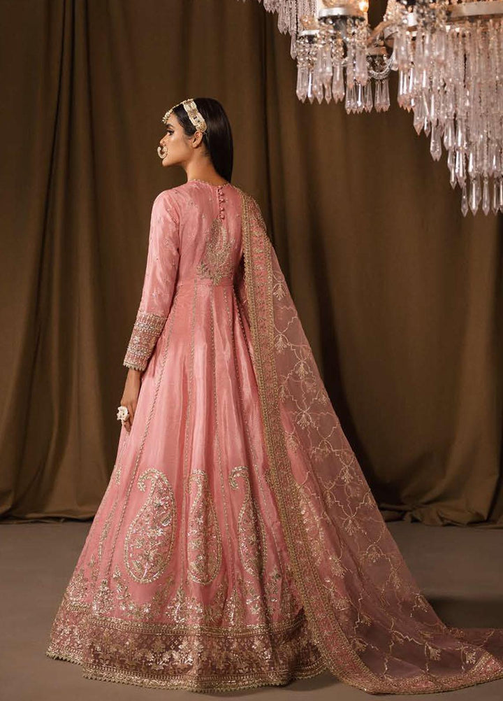 Divani By Afrozeh Embroidered Raw Silk Suits Unstitched 2 Piece AF22D 008 Nayab - Luxury Collection