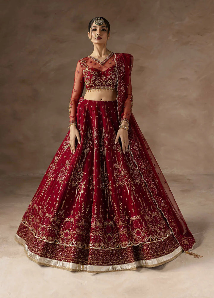 Eblouir by Imran Ramzan Embroidered Net Suits Unstitched 3 Piece IR25EB Rose d Amour - Festive Collection