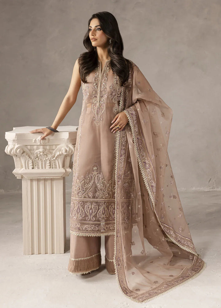 Eblouir by Imran Ramzan Embroidered Organza Suits Unstitched 3 Piece IR25EB Blush De Rose - Festive Collection