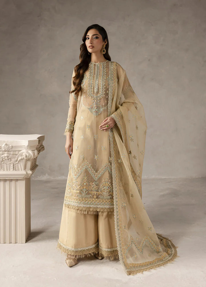 Eblouir by Imran Ramzan Embroidered Organza Suits Unstitched 3 Piece IR25EB Soleil Etincelant - Festive Collection