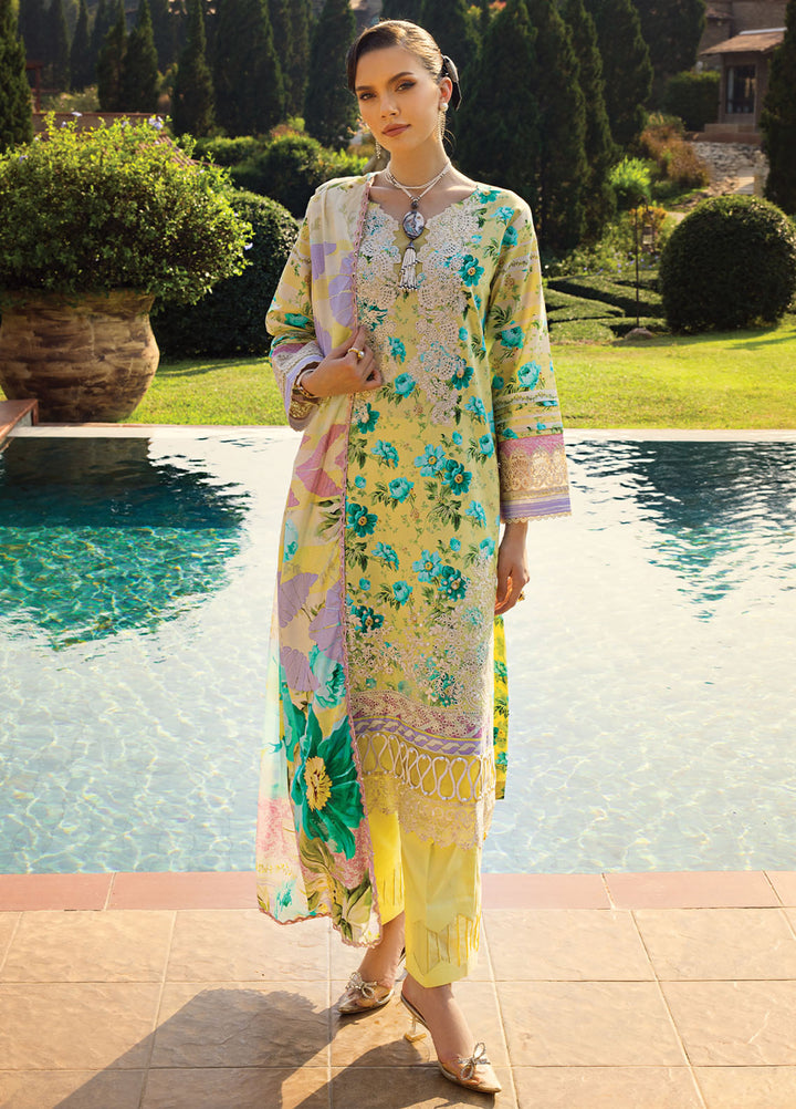 Elaf Chikankari Lawn Suits Unstitched 3 Piece EF24PC ECT 06B - Summer Collection