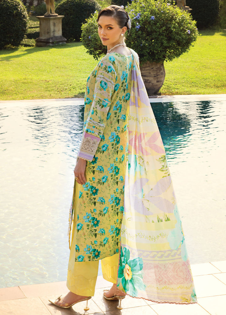 Elaf Chikankari Lawn Suits Unstitched 3 Piece EF24PC ECT 06B - Summer Collection