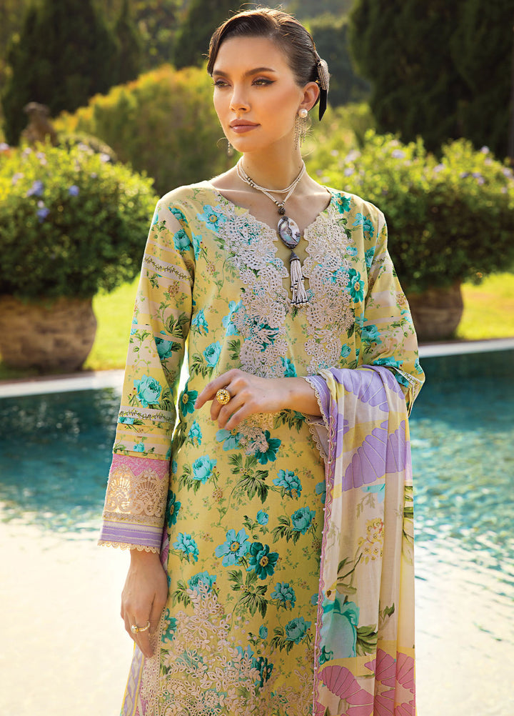 Elaf Chikankari Lawn Suits Unstitched 3 Piece EF24PC ECT 06B - Summer Collection