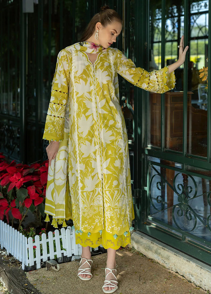 Elaf Printed Lawn Suits Unstitched 3 Piece EF25PL EPE-08 B - Summer Collection