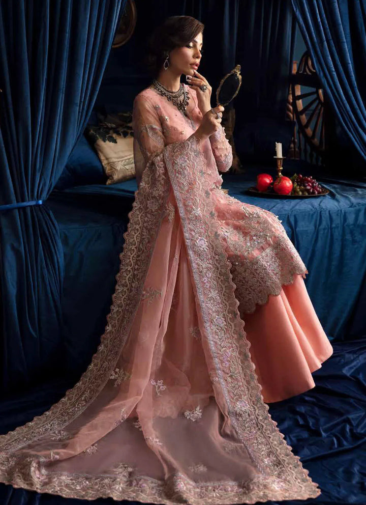 Elanora by Nureh Embroidered Organza Suit Unstitched 4 Piece NU24E NEL-51 - Summer Collection