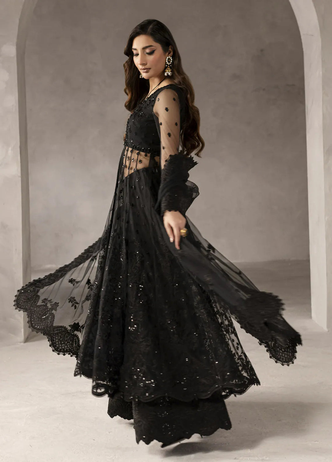 Elysee by Imran Ramzan Embroidered Net Suits Unstitched 3 Piece IR25EF Amour de Noire - Formals Collection