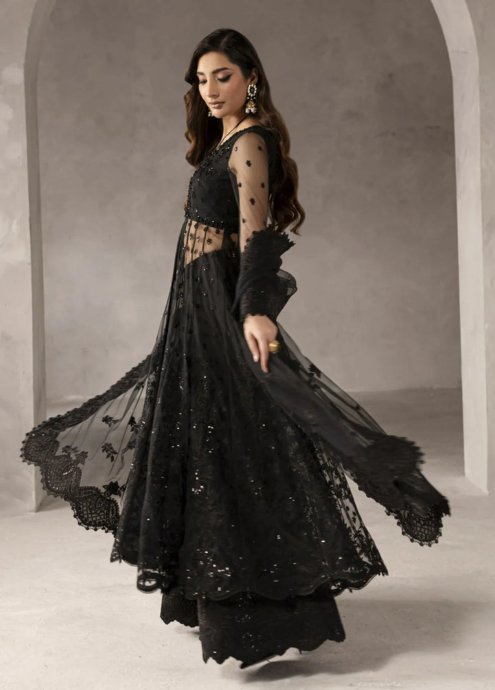 Elysee by Imran Ramzan Embroidered Net Suits Unstitched 3 Piece IR25EF Amour de Noire - Formamls Collection