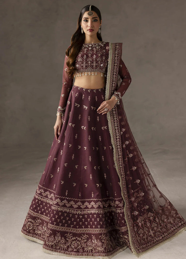 Elysee by Imran Ramzan Embroidered Net Suits Unstitched 3 Piece IR25EF Iris di Viola - Formamls Collection