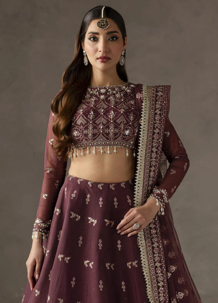 Elysee by Imran Ramzan Embroidered Net Suits Unstitched 3 Piece IR25EF Iris di Viola - Formamls Collection