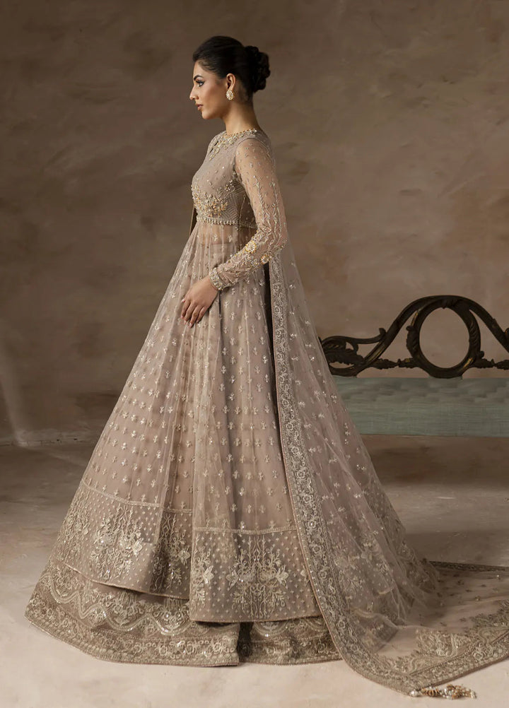 Elysee by Imran Ramzan Embroidered Net Suits Unstitched 3 Piece IR25EF Petal de Soi - Formamls Collection