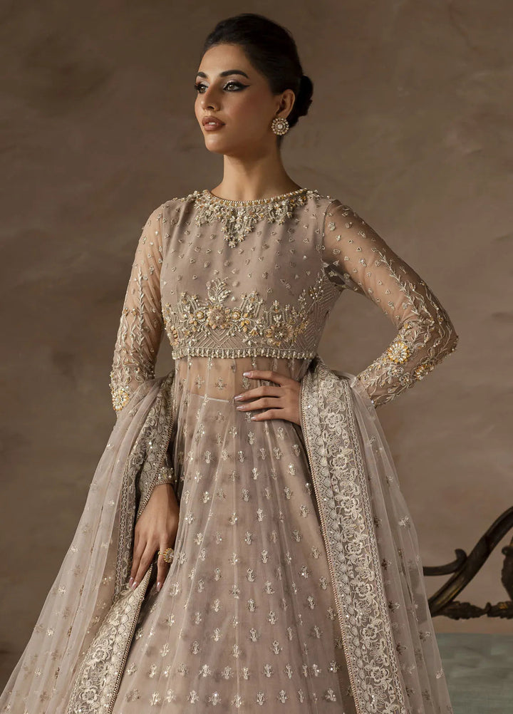 Elysee by Imran Ramzan Embroidered Net Suits Unstitched 3 Piece IR25EF Petal de Soi - Formamls Collection