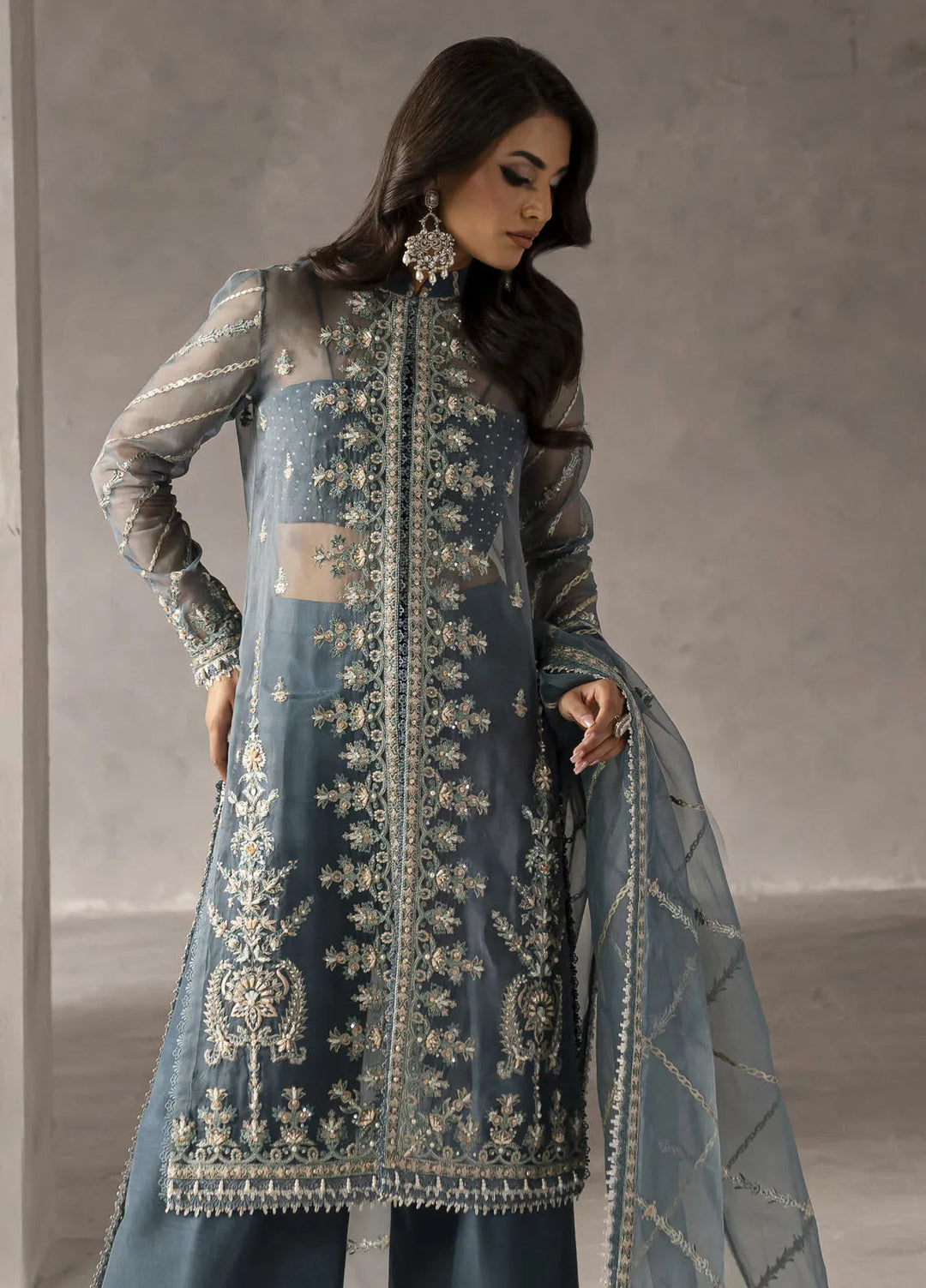 Elysee by Imran Ramzan Embroidered Organza Suits Unstitched 3 Piece IR25EF Rose du Matin - Formamls Collection