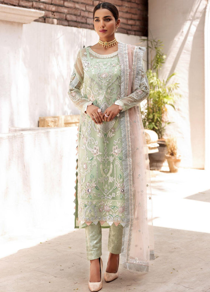 Value Edition By Emaan Adeel Organza Embroidered Suits Unstitched 3 Piece EA22VE VE 05 - Luxury Collection