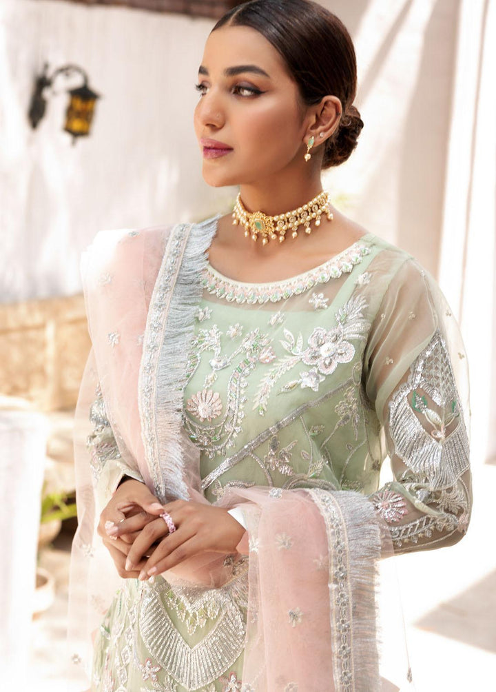 Value Edition By Emaan Adeel Organza Embroidered Suits Unstitched 3 Piece EA22VE VE 05 - Luxury Collection