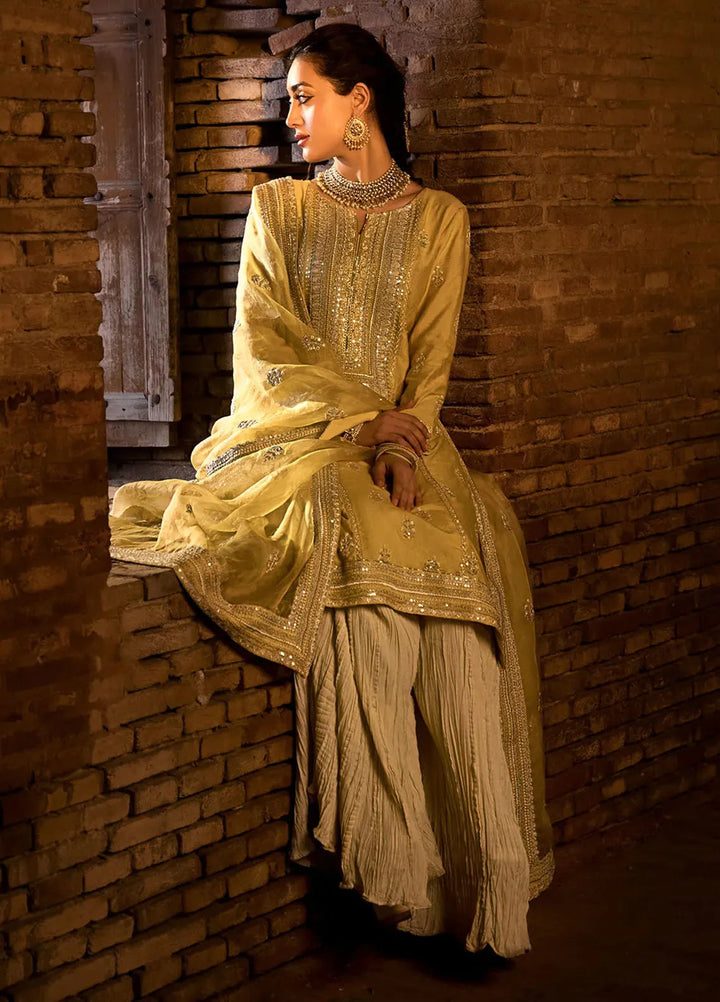 Erum Khan Pret Embroidered Cotton Net 3 Piece Suit Dil Araa