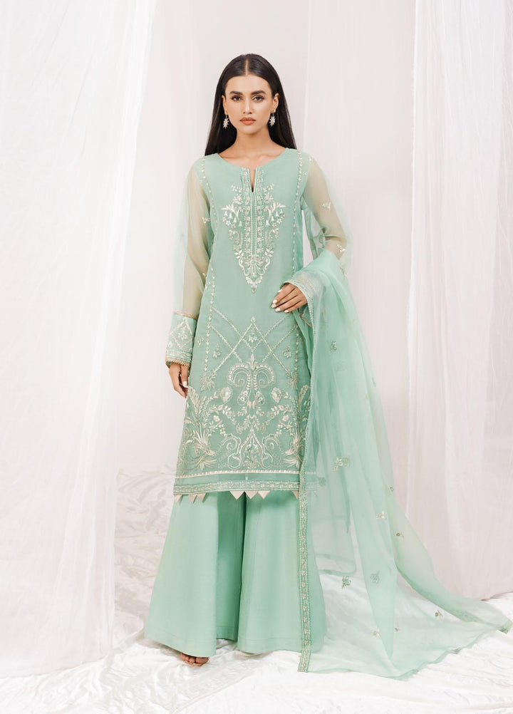 Esra Fashion Festive Pret  Organza 2 Piece Suit ETO-05