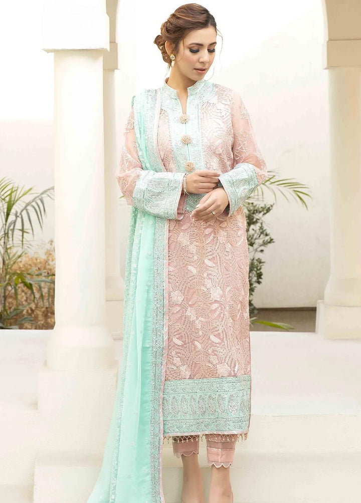 Esta Bonita By Imrozia Embroidered Organza Suits Unstitched 3 Piece IMP23EB M-18 Dusk - Premium Collection