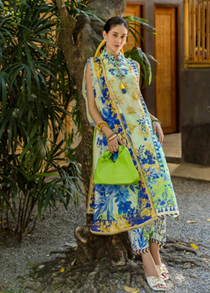 Ethereal Bloom by Roheenaz Embroidered Lawn Suits Unstitched 3 Piece RN25EB RNZ-06 A Celora - Summer Collection