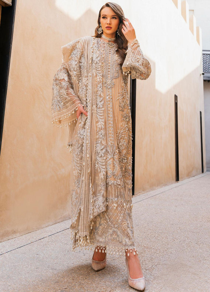 Evara By Elaf Embroidered Net Suits Unstitched 4 Piece EF23EV EEB-03 Zayna - Wedding Collection