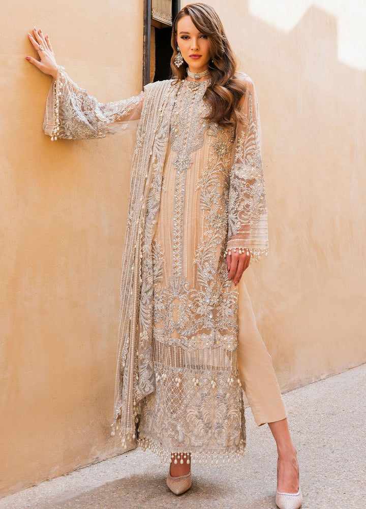 Evara By Elaf Embroidered Net Suits Unstitched 4 Piece EF23EV EEB-03 Zayna - Wedding Collection