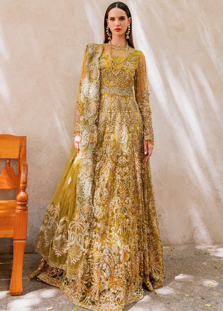 Evara By Elaf Embroidered Net Suits Unstitched 3 Piece EF23EV EEB-05 Henna - Wedding Collection