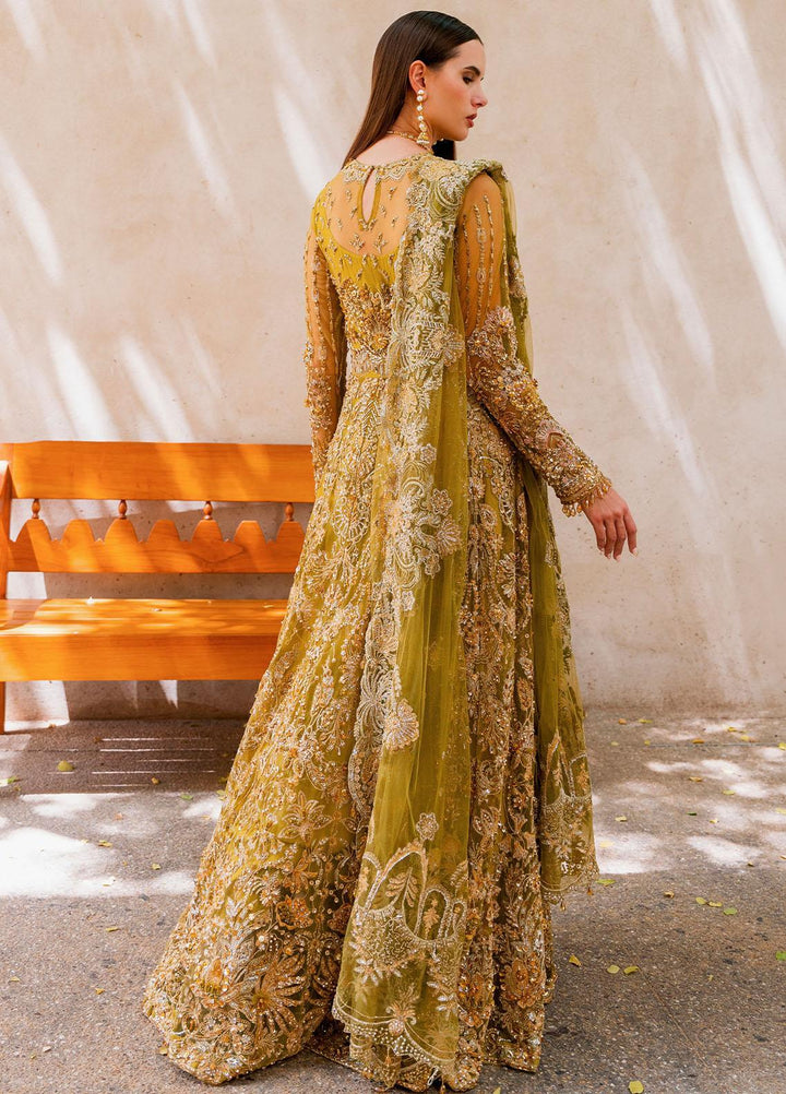 Evara By Elaf Embroidered Net Suits Unstitched 3 Piece EF23EV EEB-05 Henna - Wedding Collection