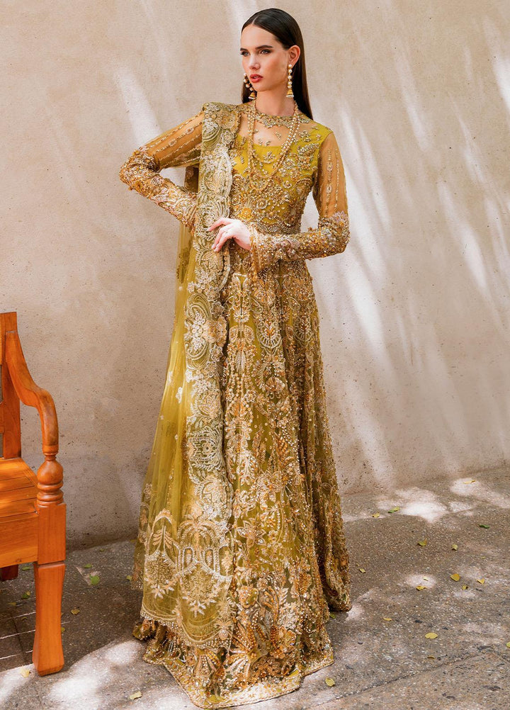 Evara By Elaf Embroidered Net Suits Unstitched 3 Piece EF23EV EEB-05 Henna - Wedding Collection