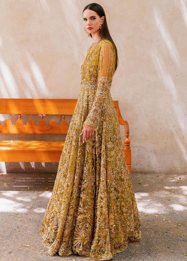 Evara By Elaf Embroidered Net Suits Unstitched 3 Piece EF23EV EEB-05 Henna - Wedding Collection