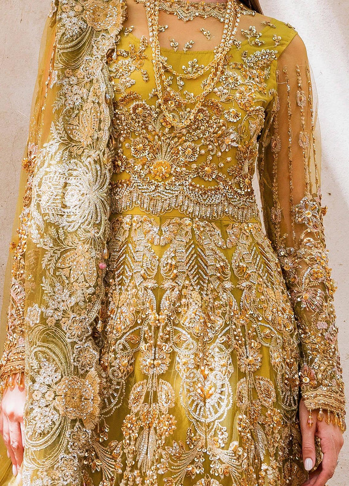 Evara By Elaf Embroidered Net Suits Unstitched 3 Piece EF23EV EEB-05 Henna - Wedding Collection