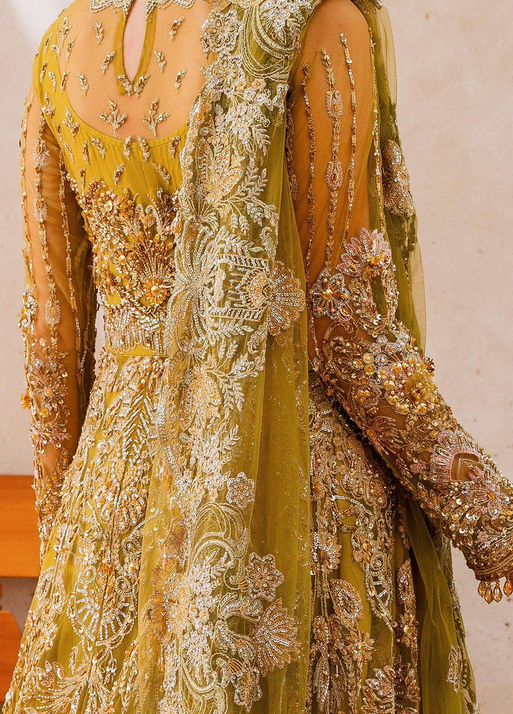 Evara By Elaf Embroidered Net Suits Unstitched 3 Piece EF23EV EEB-05 Henna - Wedding Collection