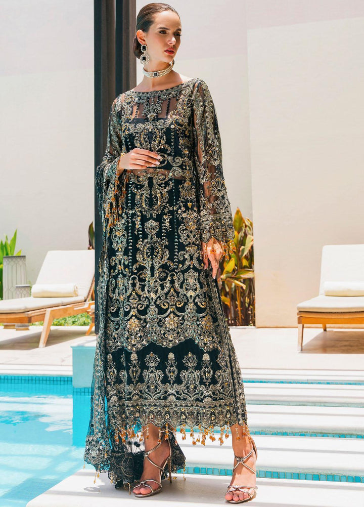 Evara By Elaf Embroidered Net Suits Unstitched 4 Piece EF23EV EEB-06 Zafir - Wedding Collection