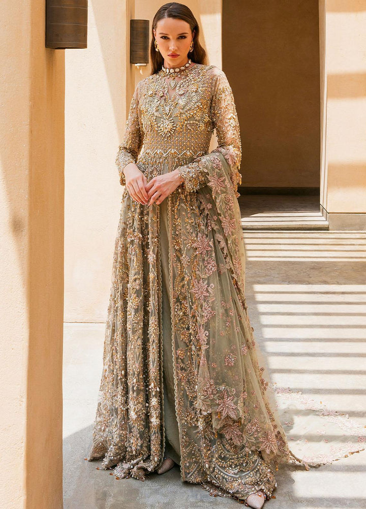 Evara By Elaf Embroidered Net Suits Unstitched 3 Piece EF23EV EEB-08 Rania - Wedding Collection
