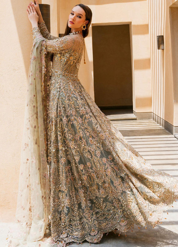 Evara By Elaf Embroidered Net Suits Unstitched 3 Piece EF23EV EEB-08 Rania - Wedding Collection