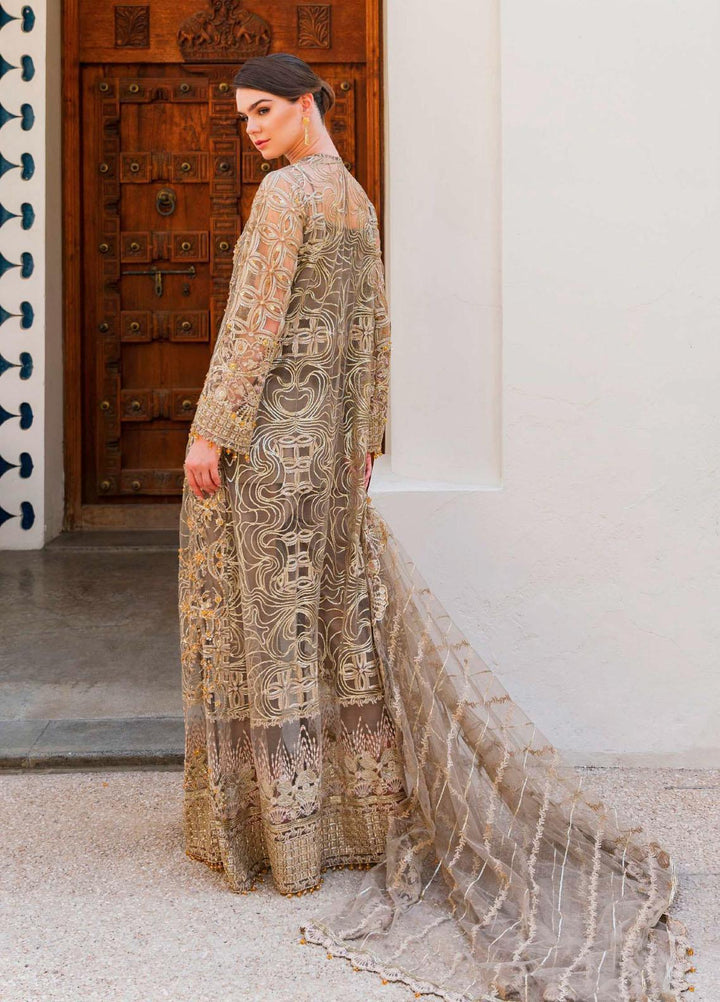 Evara By Elaf Embroidered Net Suits Unstitched 4 Piece EF23EV-2 EEW-02 SOUK - Wedding Collection