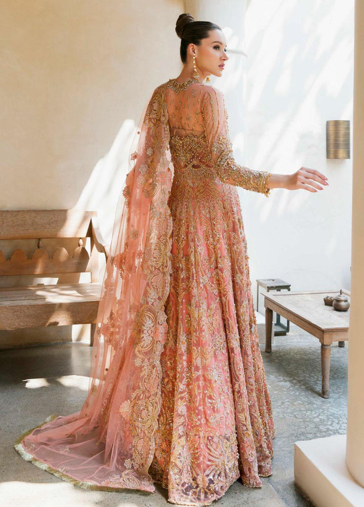 Evara By Elaf Embroidered Net Suits Unstitched 3 Piece EF23EV-2 EEW-03 LAYLA - Wedding Collection