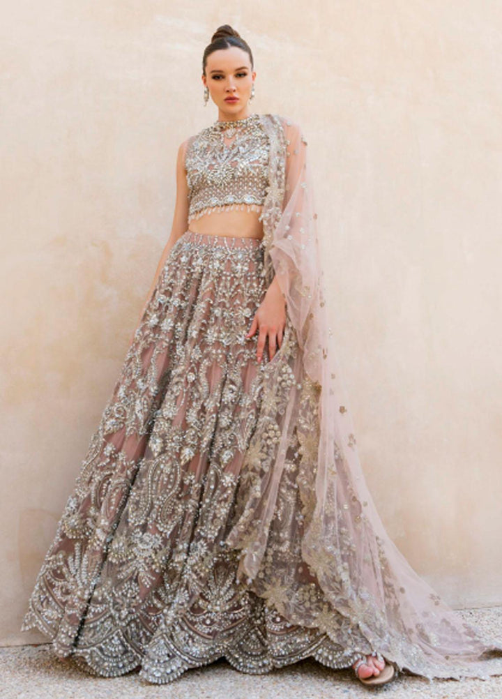Evara By Elaf Embroidered Net Suits Unstitched 3 Piece EF23EV-2 EEW-05 JASMINE - Wedding Collection