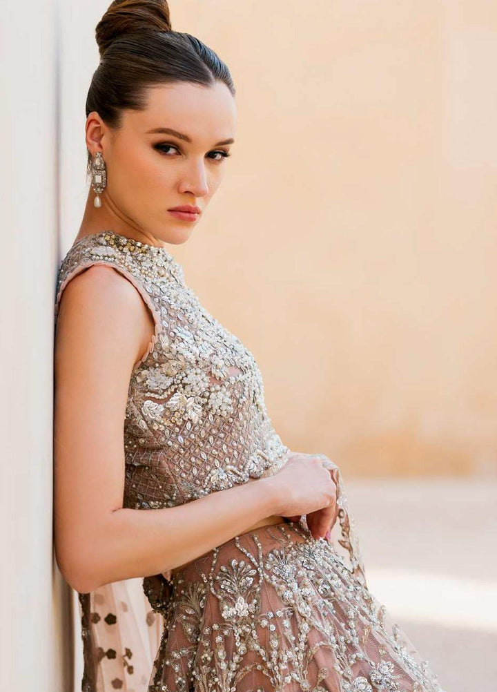 Evara By Elaf Embroidered Net Suits Unstitched 3 Piece EF23EV-2 EEW-05 JASMINE - Wedding Collection