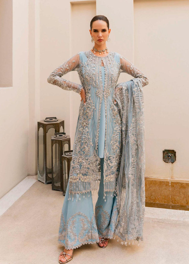 Evara By Elaf Embroidered Net Suits Unstitched 4 Piece EF23EV-2 EEW-07 ZARA - Wedding Collection