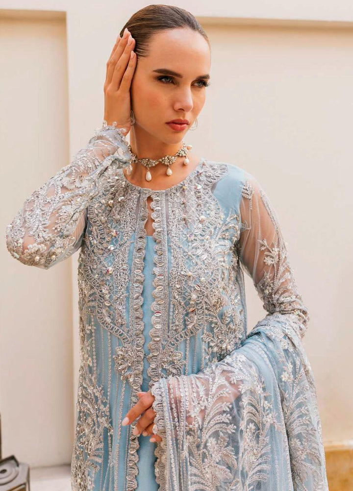 Evara By Elaf Embroidered Net Suits Unstitched 4 Piece EF23EV-2 EEW-07 ZARA - Wedding Collection