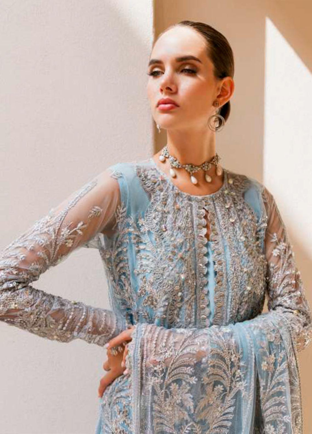 Evara By Elaf Embroidered Net Suits Unstitched 4 Piece EF23EV-2 EEW-07 ZARA - Wedding Collection