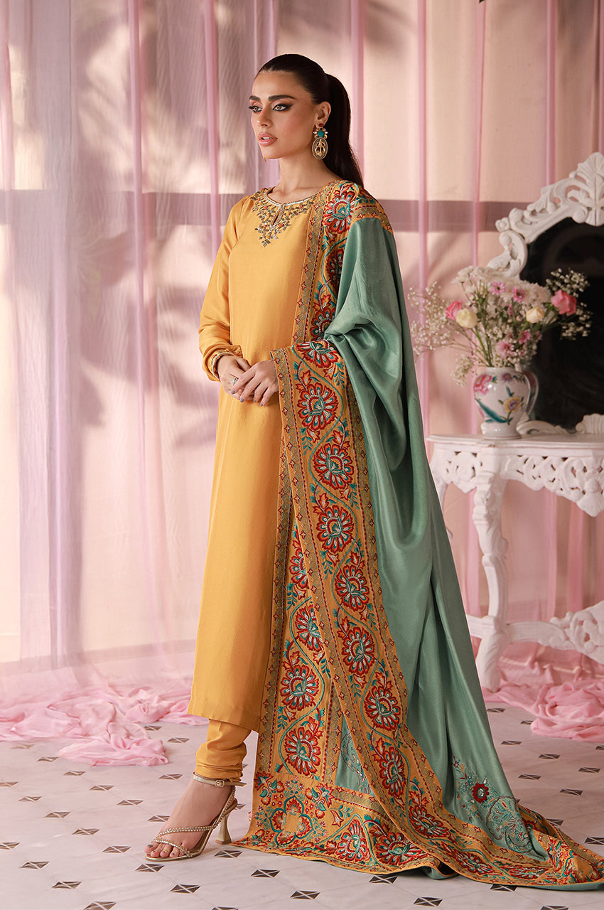 Sera From Nizka By Nida Rehan RTW Embroidered Raw Silk 2 Piece Suit Arvia - Festive Collection