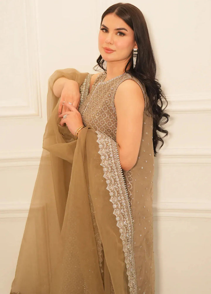 Faiza Faisal Pret Festive Organza 3 Piece Suit Dina