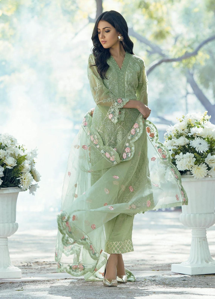 Fascino Embroidered Chiffon Suits Unstitched 3 Piece FN21LF Carnation - Luxury Collection