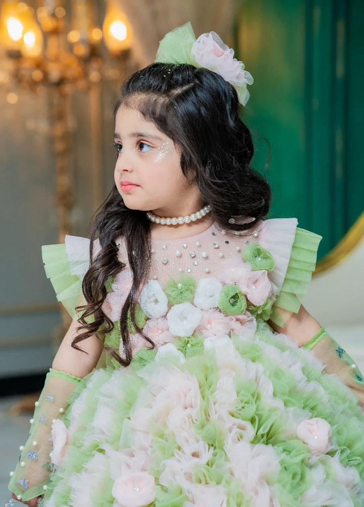 Fashion With Style Hub Pret Plain Net 1 Piece Reem Frock